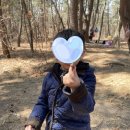 세이유치원 이미지