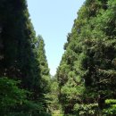 해수욕장길 이미지