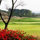 스카이앤오션 이미지