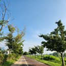 동천파크골프장 | [울산중구] 동천파크골프장에서