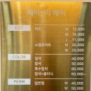 헤이미헤어 이미지