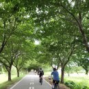 페달가족_52Km424m_한운리 임도 이미지