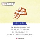 복닭 이미지