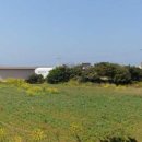 돈키호테공인중개사사무소 이미지