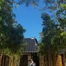 명주할인마트 | [양조장투어] 순창 고추장 마을에서 만난 명주, 지란지교 약주 탁주 전통주 시음 후기(with 순창 여행 팁)