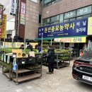 수원종묘농약사 이미지