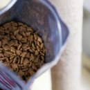 나누리펫 이미지