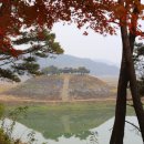 도산서원길(도산면) 이미지