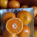 오부자농장 이미지