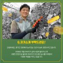 갑부농장 티스토리
