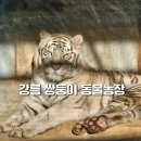 쌍둥이농장 | 강원도 강릉 귀여운 동물들이 반겨주는 강릉 쌍둥이 동물농장 내돈내산 후기