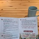 울산 효소찜질 효소지음 솔직 후기 일본식 전통 효소욕 이색경험