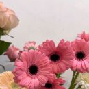 샬롬플라워 네이버블로그
