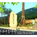 내기마을진입로 이미지