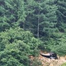 철수목장 이미지