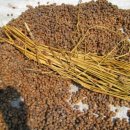 하동청국장 이미지