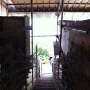 이학영 농장 이미지