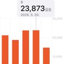 두*보 | ESSAIS 에세이즈 말란 리본 플랫 사이즈 착용 사진 2만보 후기