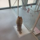 #the예쁘개 이미지