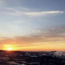 샐리스 제주호텔 이미지