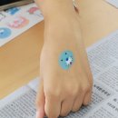 초록디딤돌 이미지