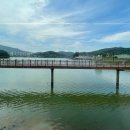 레이크포레스트&백운메밀 이미지