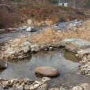 고선야채