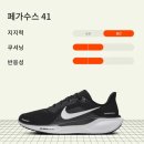7362 | 초보 입문용 러닝화, 나이키 페가수스 41 블루프린트 240mm 후기 HF7362 900