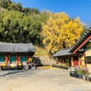 동해 용산서원 전적류(일괄) 이미지