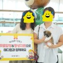 대구고양이분양테디럽