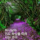 비비어 이미지