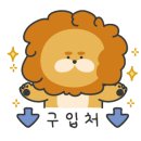 더나인에스제이 이미지