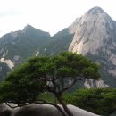 데크 조망점 이미지