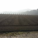 미산농원 이미지