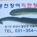 맛장어먹는날 네이버블로그