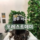 남성컷트전문 | [포레스트데이]풍암동미용실 남성여성컷트전문