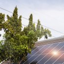 태양5호태양광발전소 이미지