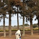 야원목장 이미지