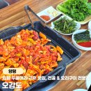 소3-35 | 양평 두물머리 맛집 오감도 주차 메뉴 오리주물럭 소뚝불고기 후기
