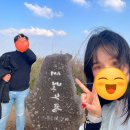 [제주도 2박3일 여행] 겨울여행 3일차 코스 (대도식당, 서울앵무새, 점보빌리지, 새별오름, 노형...
