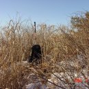 지경상회 이미지