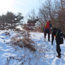 화남농원 이미지