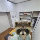 백진안마원 이미지