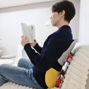 웰핏 | 바른자세 의자 등받이 추천 포티니 웰핏 자세 맞춤 체어(feat.쇼파겸용)