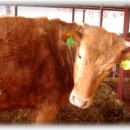 선배농장 이미지