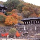 삼성궁 이미지