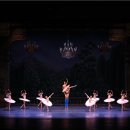 대구경북발레 페스티벌 이미지