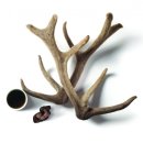 김범락한의원 이미지