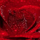 명 행정사 이미지