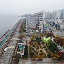 평화광장 티스토리